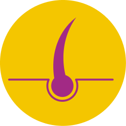 Group (5)