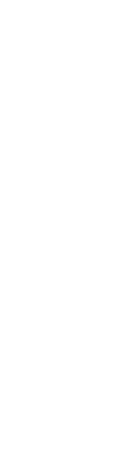 Vector (2)